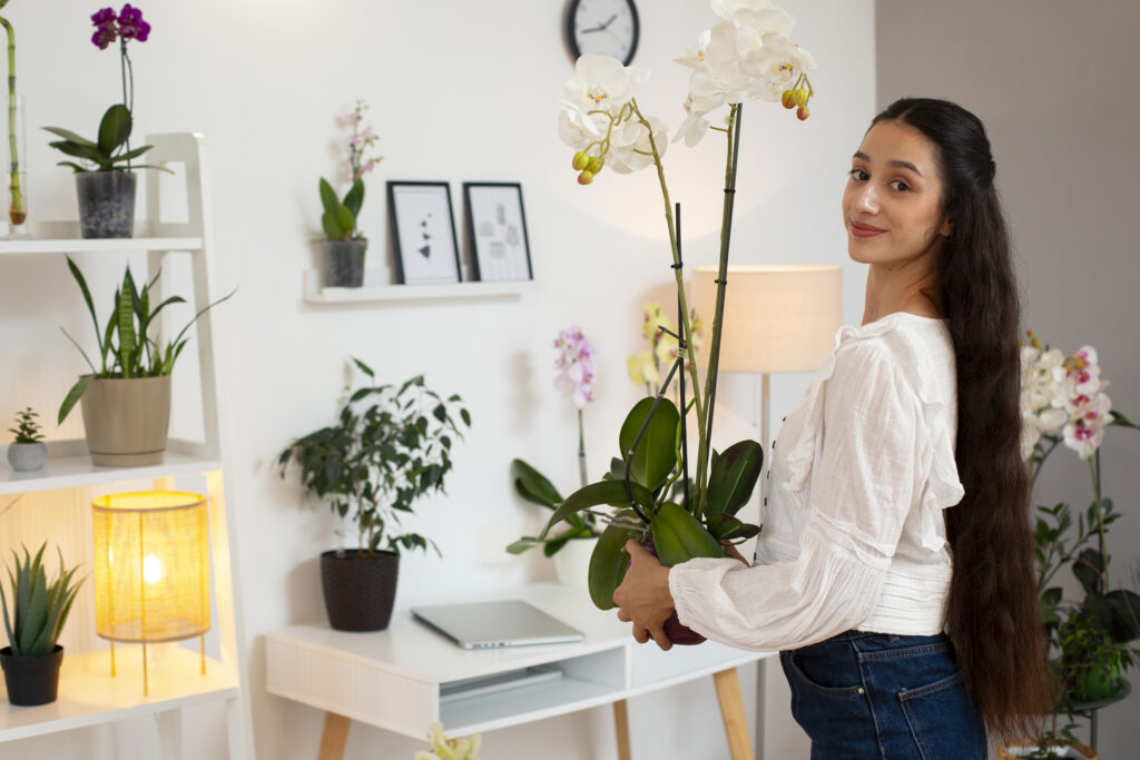 Decluttered and Minimalist Space